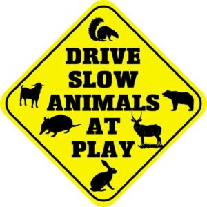 Slow Drive Sign